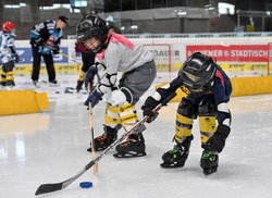 OÖ Eissporttage am 19.2.2018